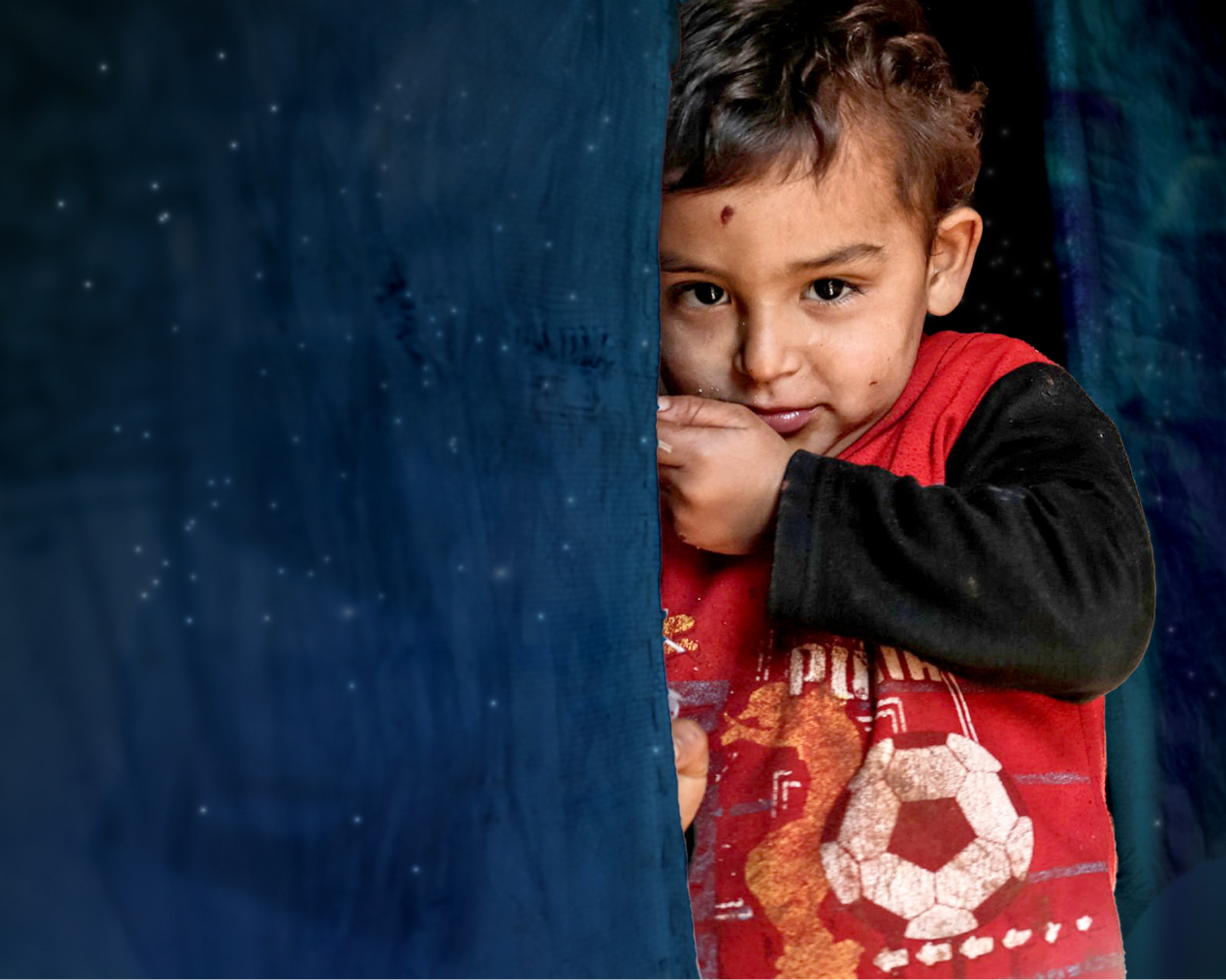 Restoring Sight to the Blind