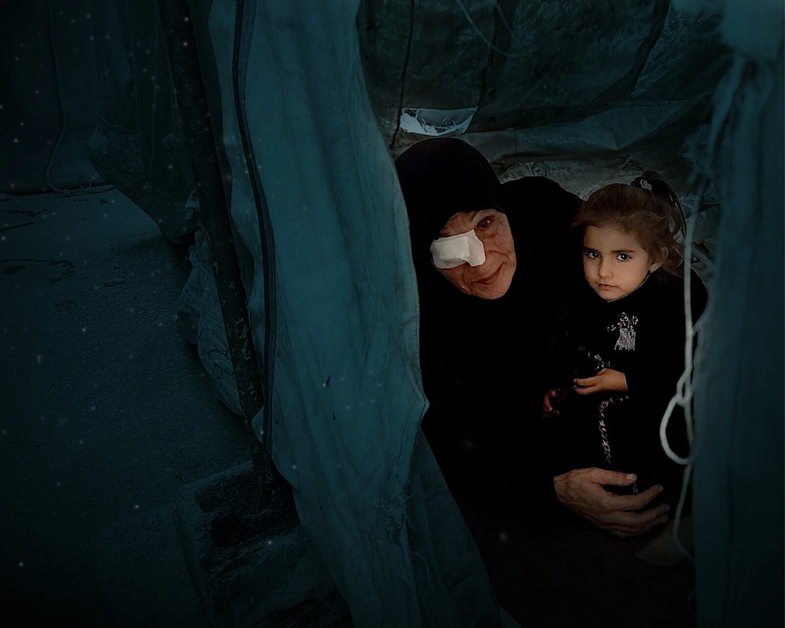 Restoring Sight to the Blind